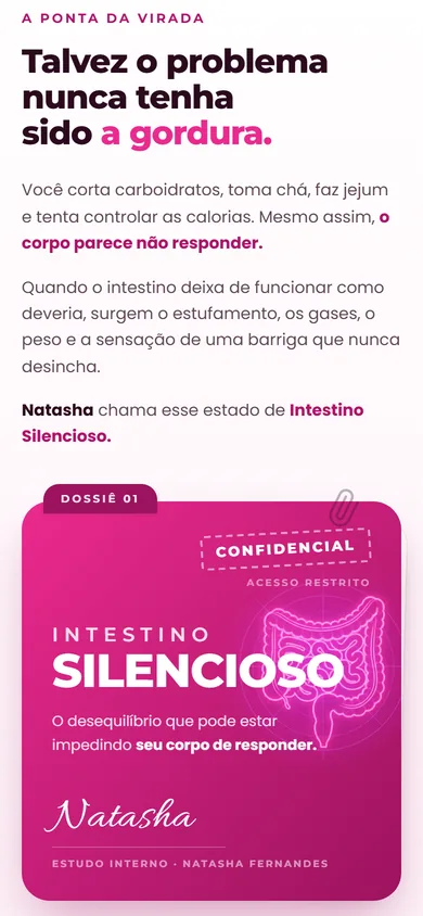 Dossiê no celular: o texto vem antes e a pasta magenta aparece inteira embaixo